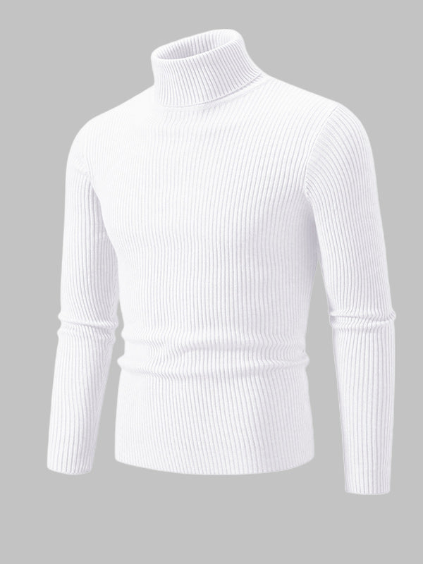 Men's Solid Color Striped Textured Turtleneck Sweater